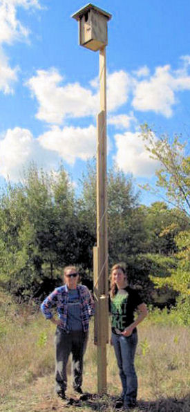 Nestbox mounting tower